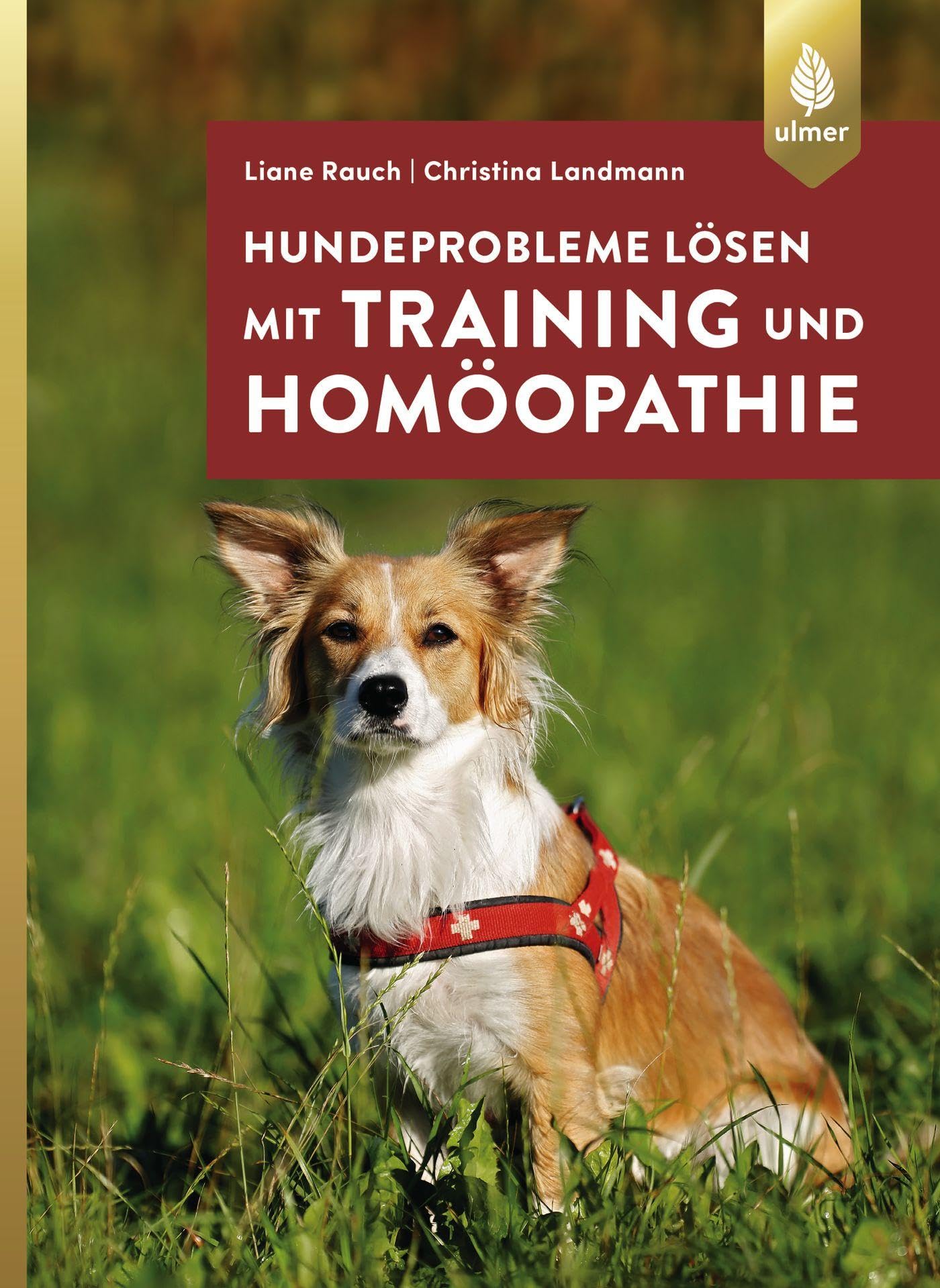 Hundeprobleme lösen mit Training und Homöopathie Pets
