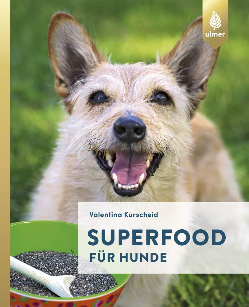 Superfood für Hunde Pets