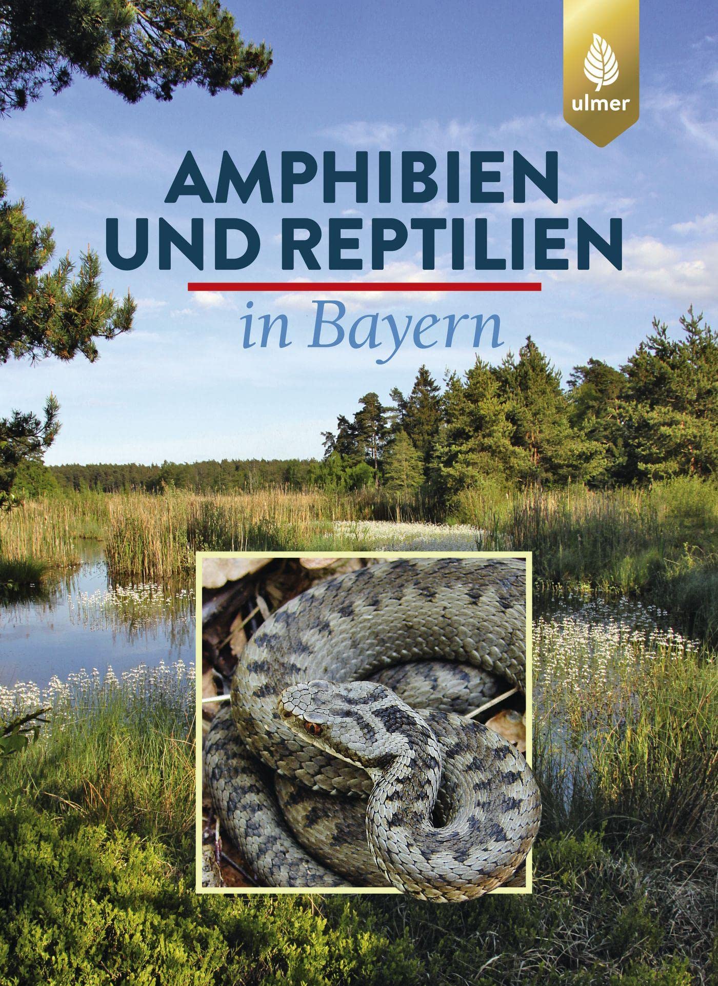 Amphibien und Reptilien in Bayern Leisure, Home & Garden