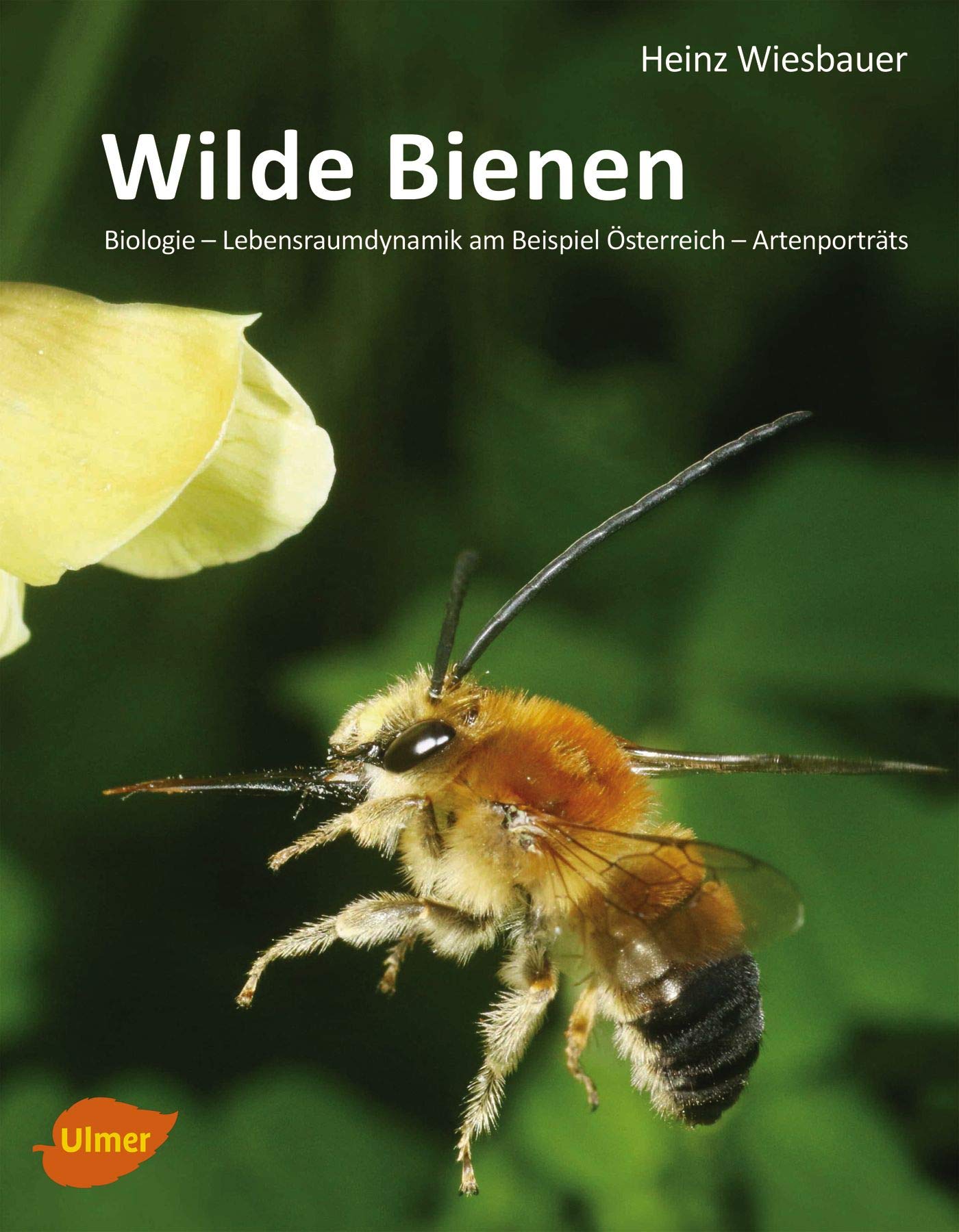 Wilde Bienen: Biologie – Lebensraumdynamik am Beispiel Österreich – Artenporträts Natural Sciences