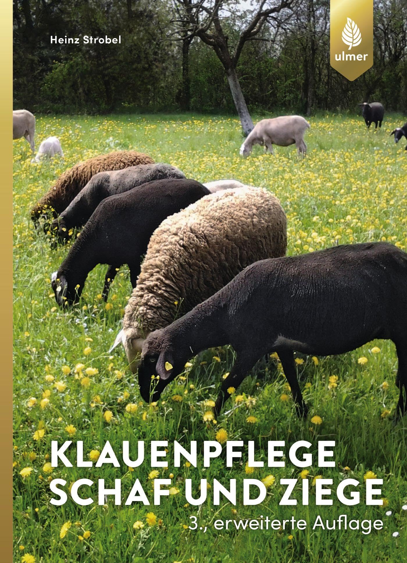 Klauenpflege Schaf und Ziege Medicine