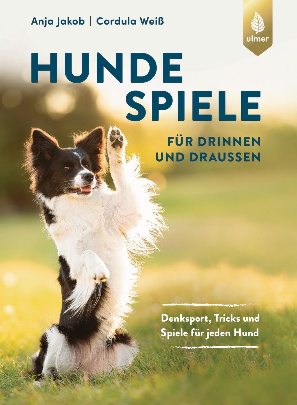 Hundespiele für drinnen und draußen Books about Pets