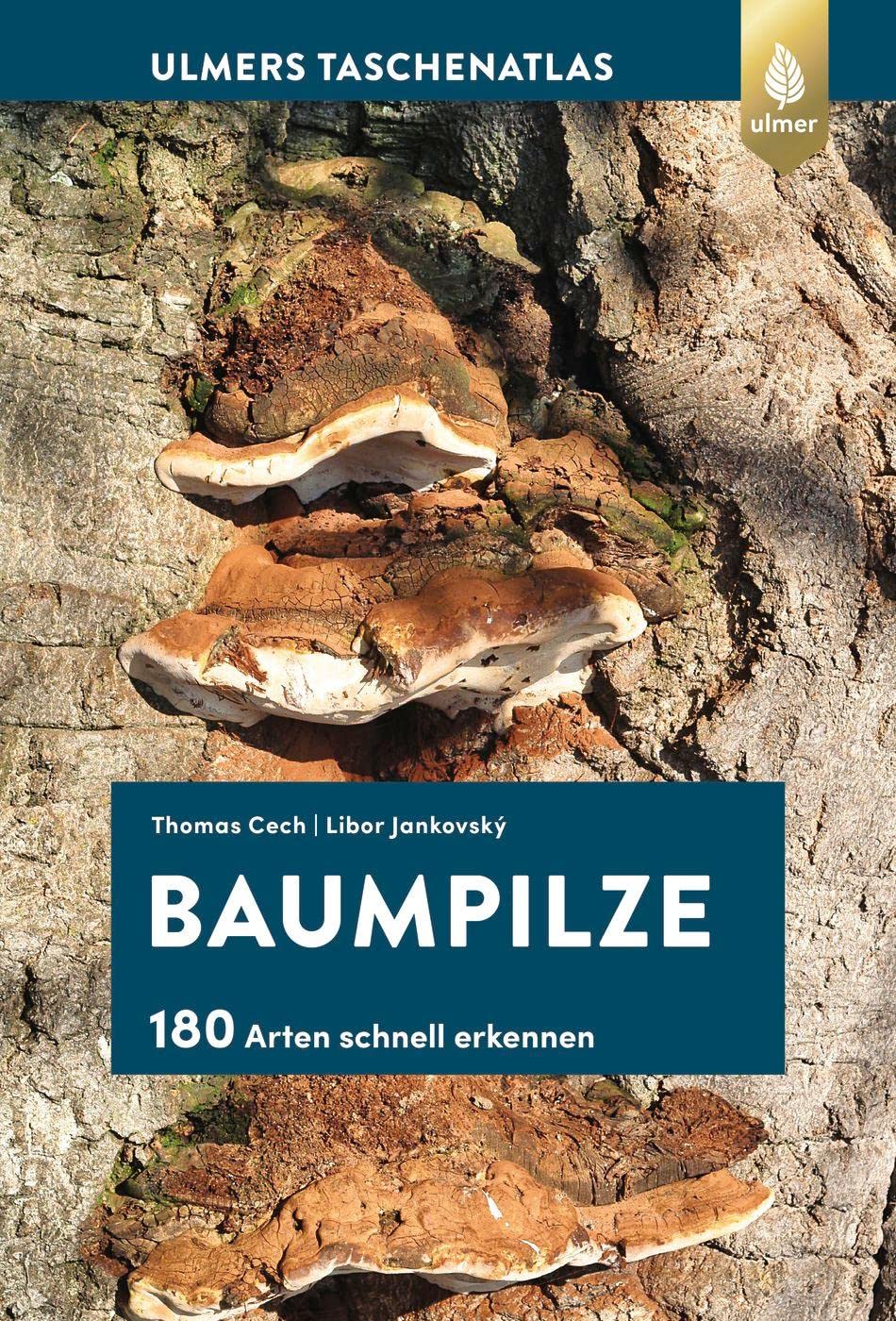 Baumpilze: 180 Arten schnell erkennen Natural Sciences