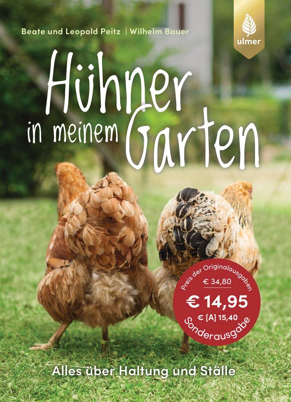Hühner in meinem Garten Pets