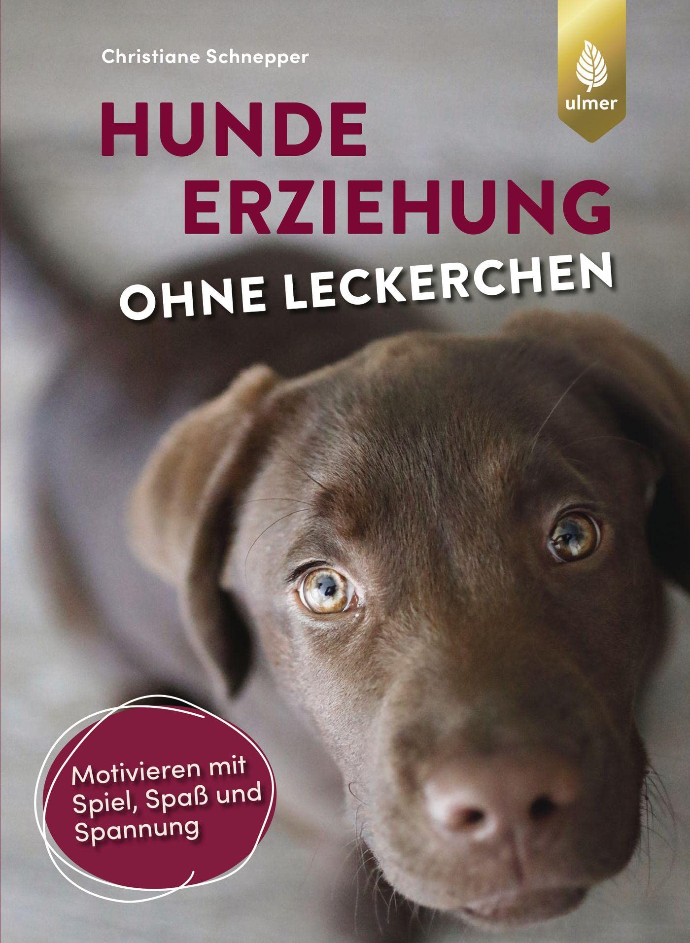 Hundeerziehung ohne Leckerchen Pets