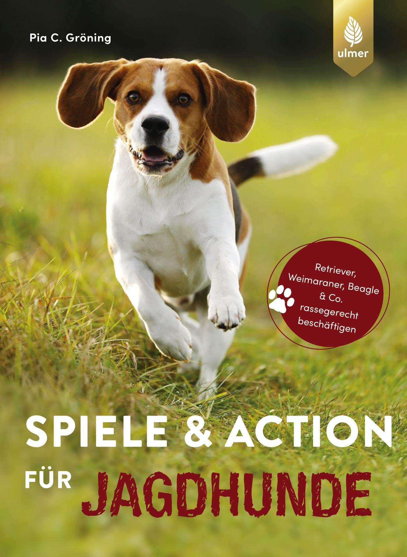Spiele und Action für Jagdhunde Pets