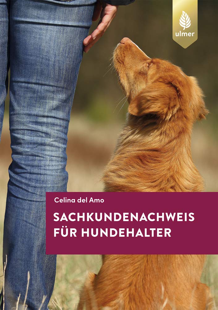 Sachkundenachweis für Hundehalter Pets