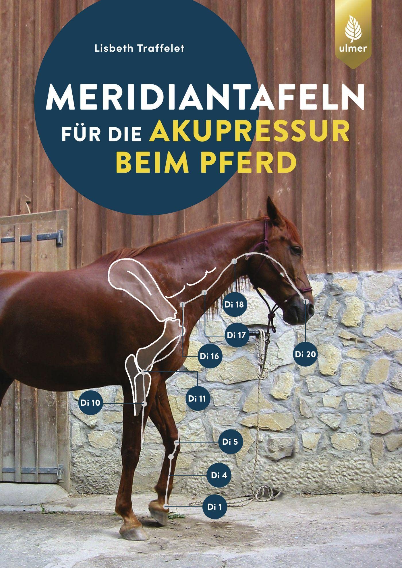 Meridiantafeln für die Akupressur beim Pferd Medicine