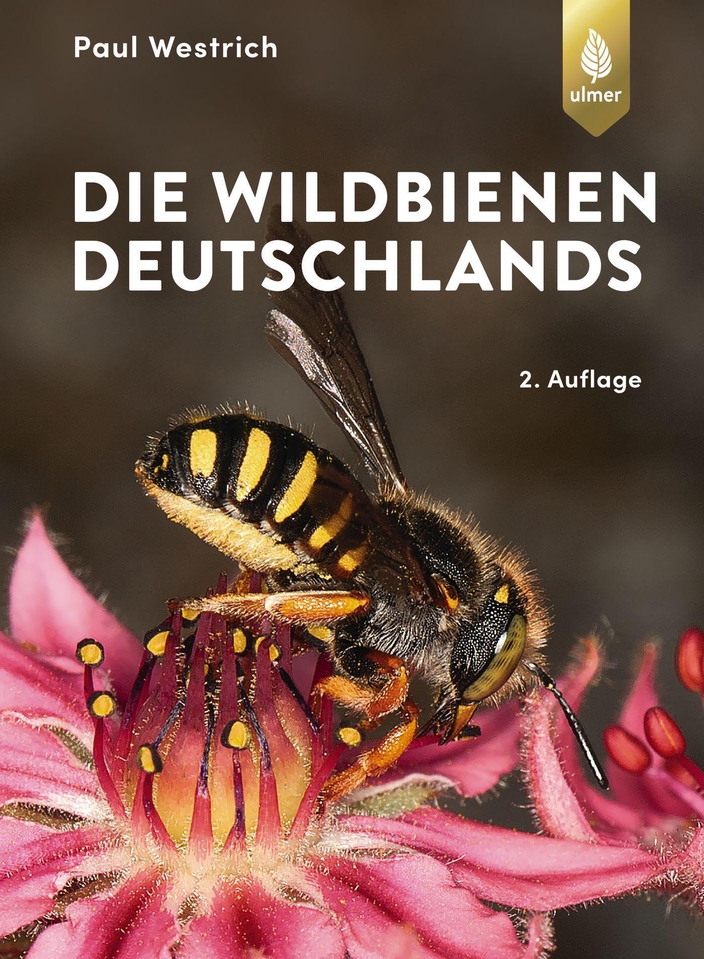 Die Wildbienen Deutschlands Leisure, Home & Garden