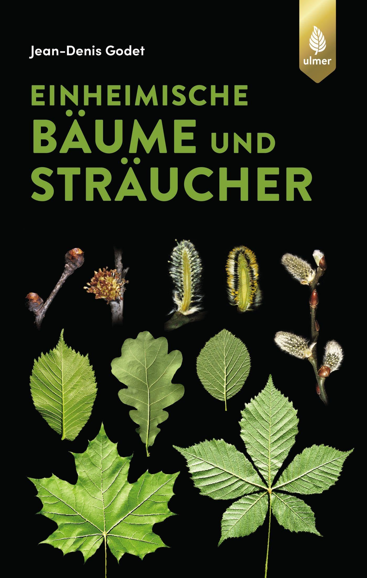 Einheimische Bäume und Sträucher Garden & Plants