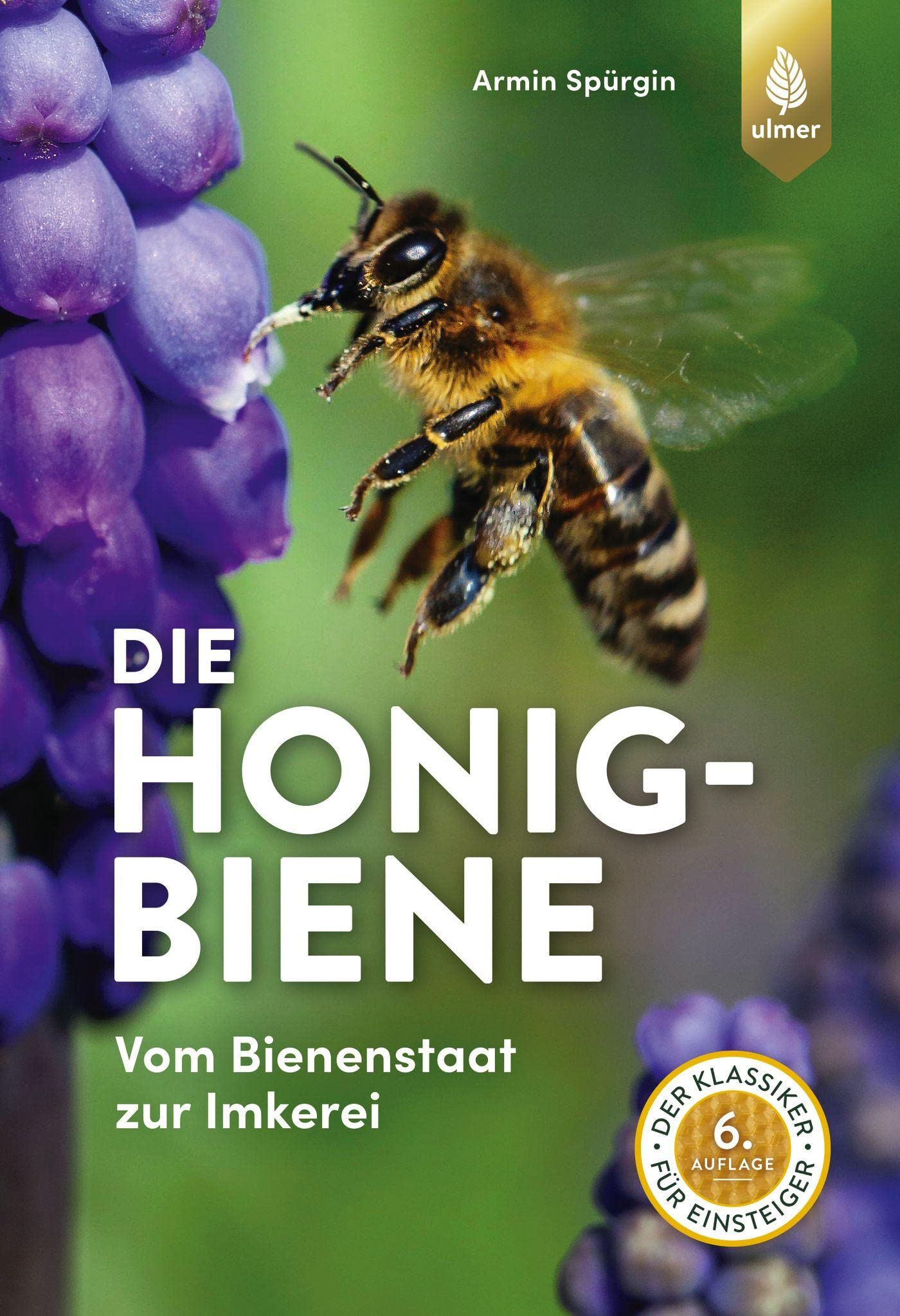 Die Honigbiene Pets