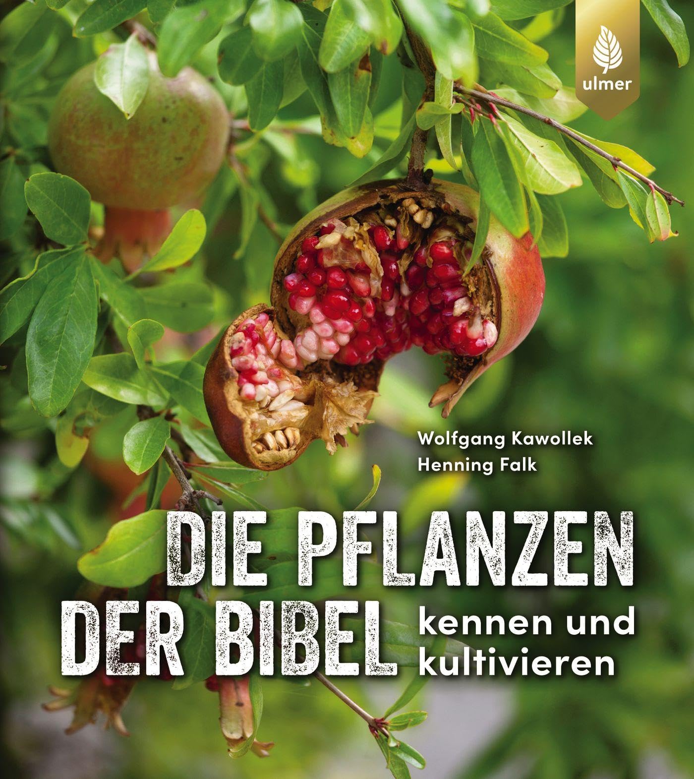 Die Pflanzen der Bibel: kennen und kultivieren Garden & Plants