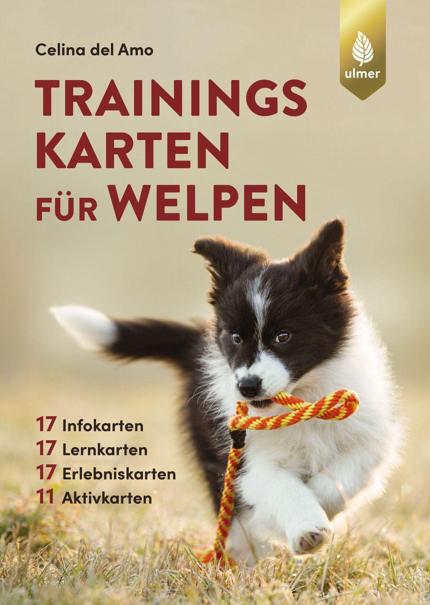 Trainingskarten für Welpen Pets