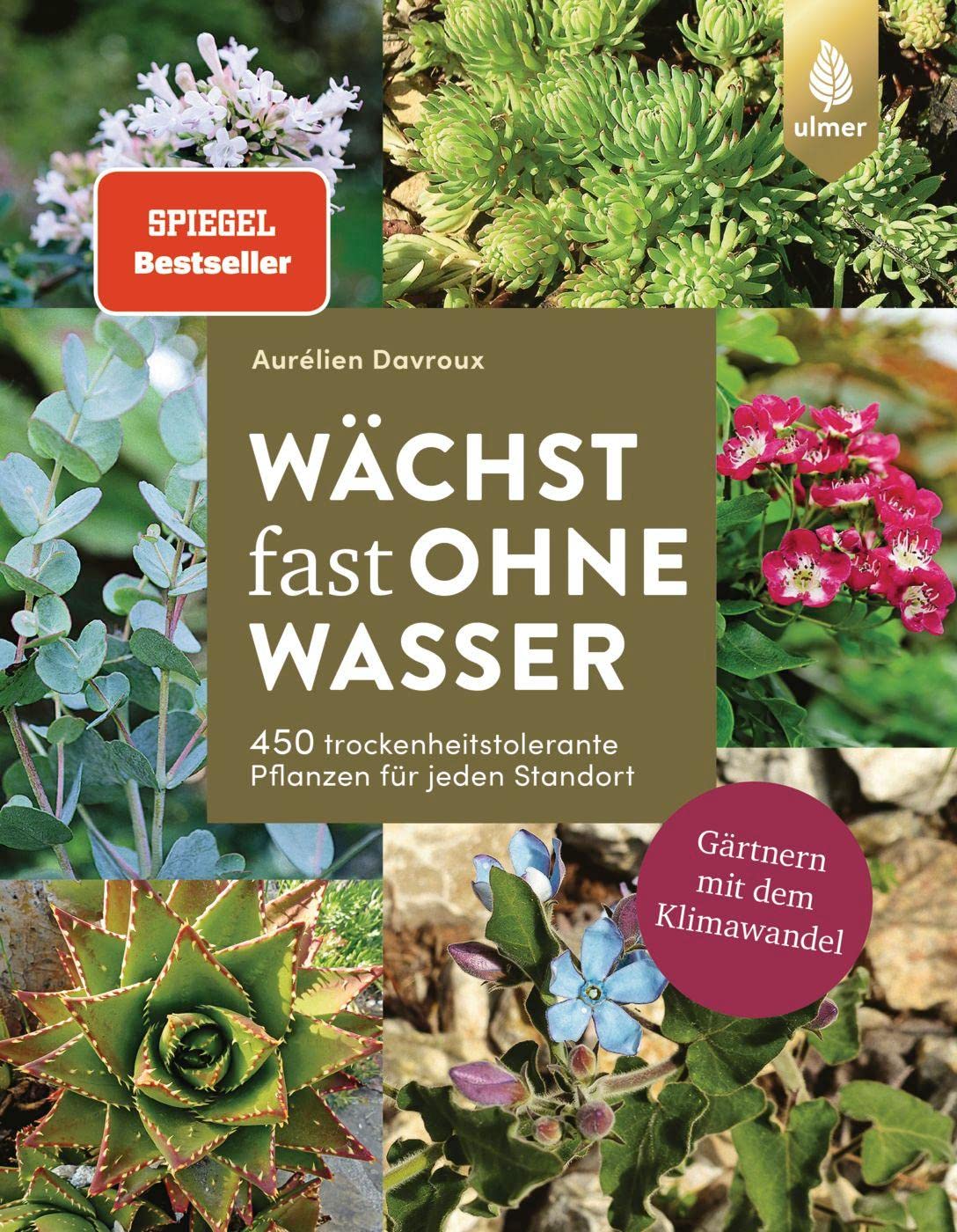Product Image: Wächst fast ohne Wasser