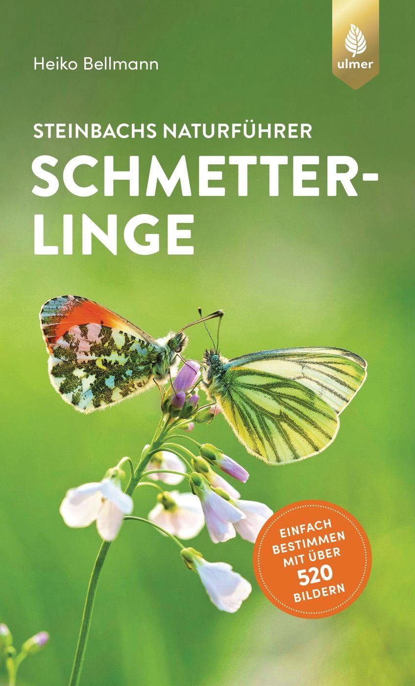 Steinbachs Naturführer Schmetterlinge Leisure, Home & Garden