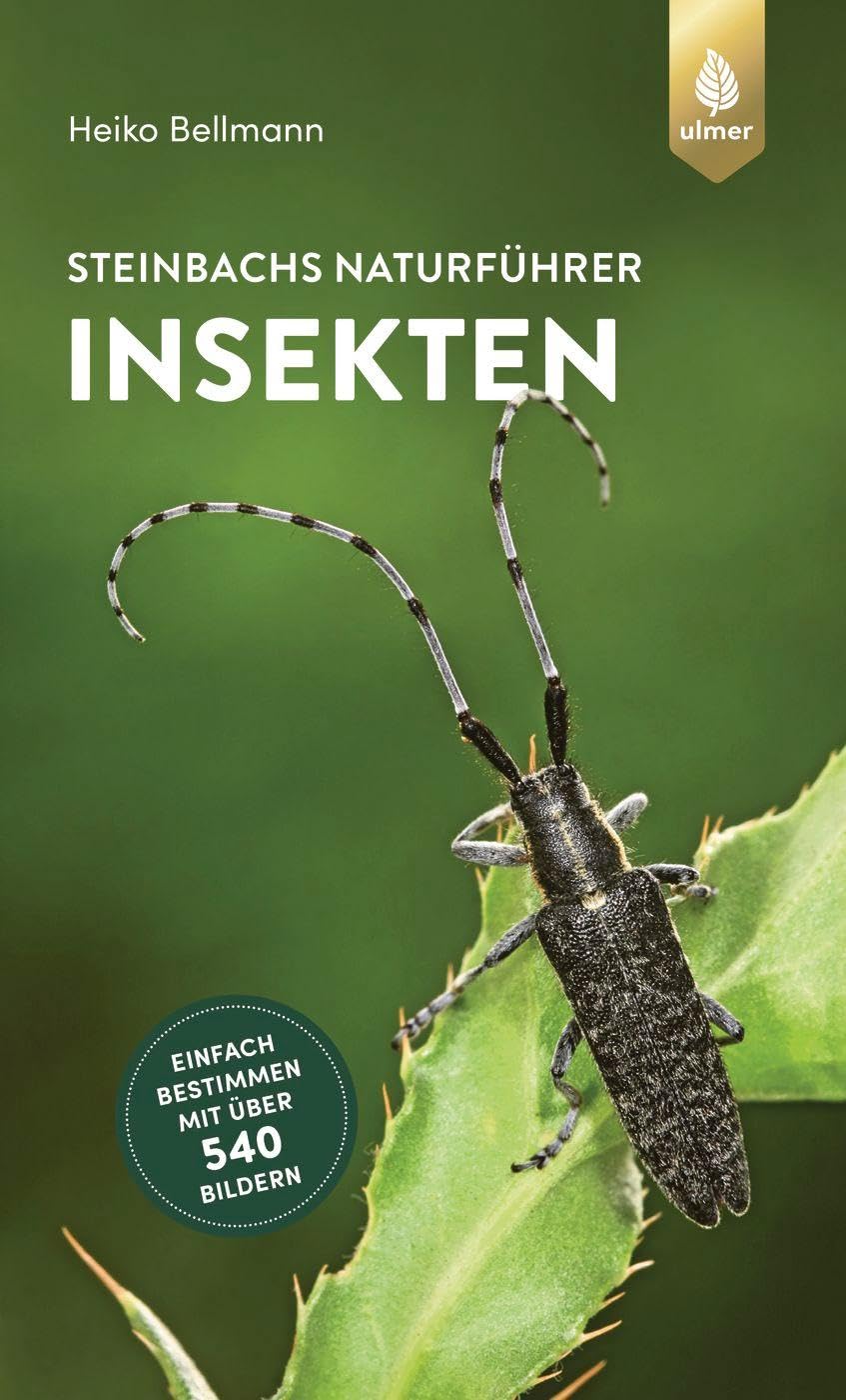 Steinbachs Naturführer Insekten: Einfach bestimmen mit über 540 Bildern Leisure, Home & Garden