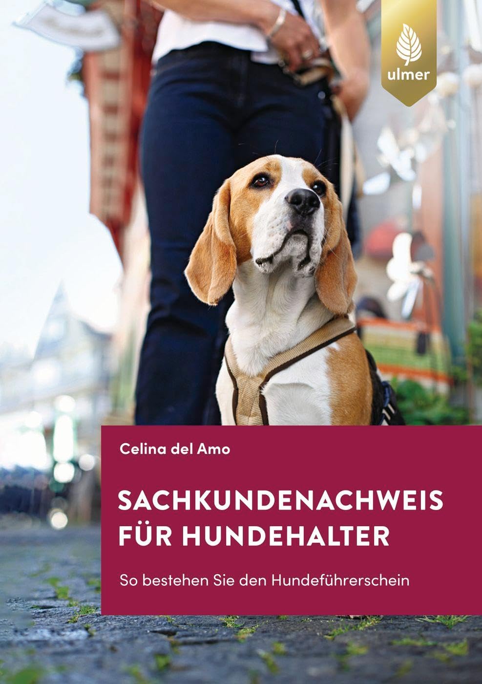Sachkundenachweis für Hundehalter: So bestehen Sie den Hundeführerschein Pets