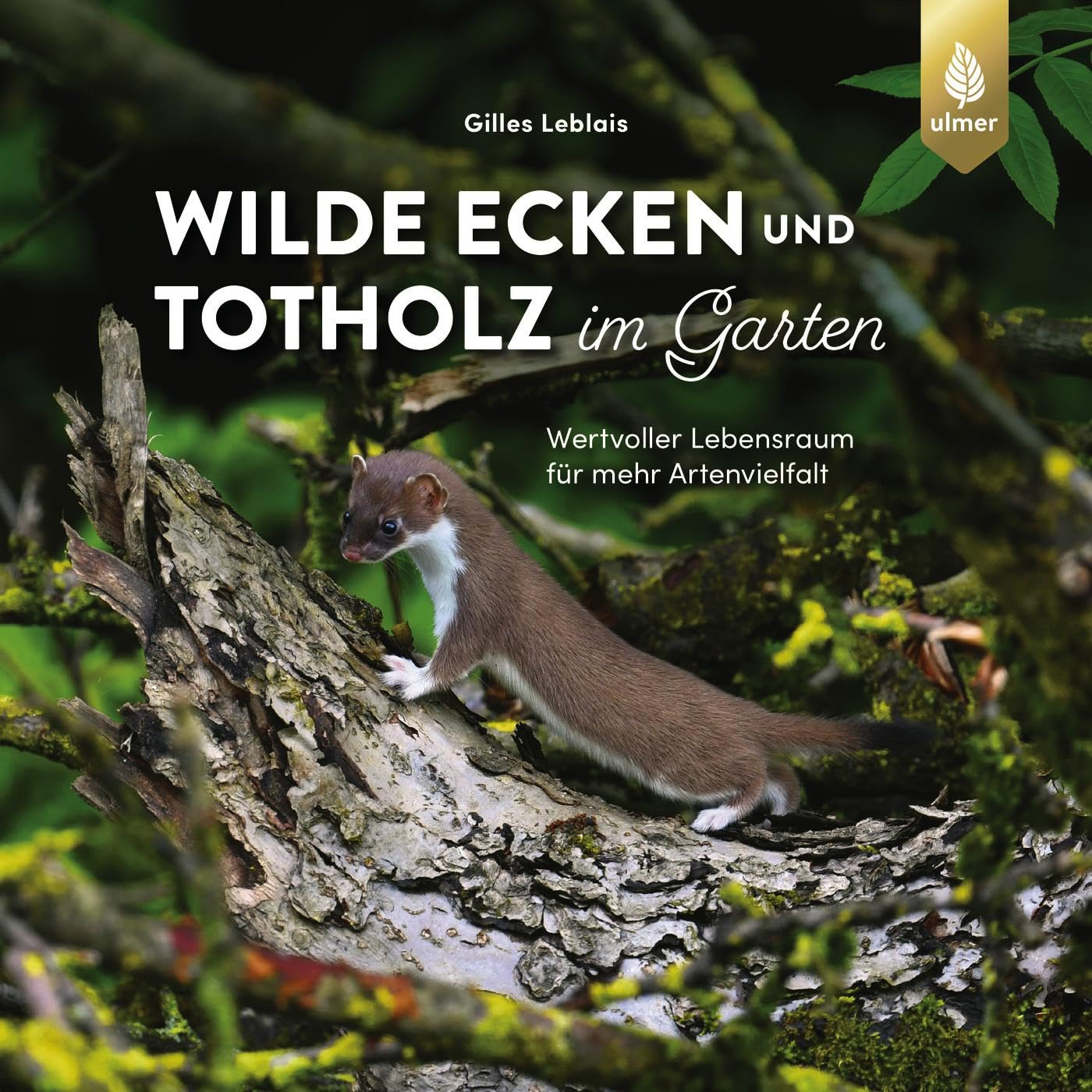 Wilde Ecken und Totholz im Garten Garden & Plants