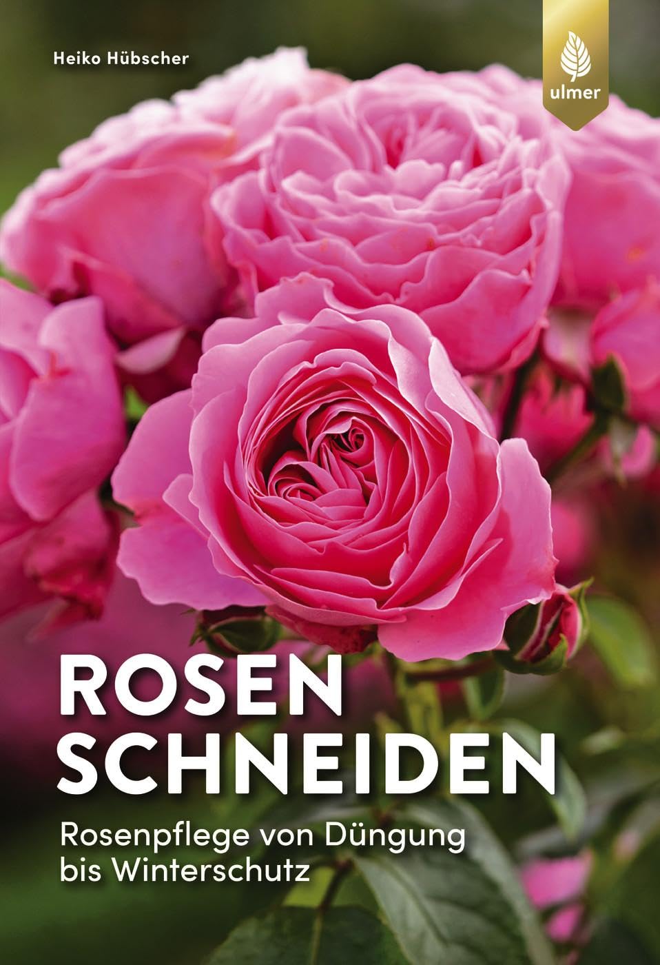 Product Image: Rosen schneiden