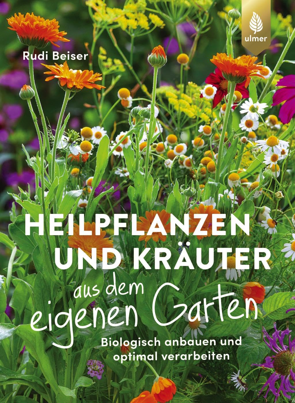Heilpflanzen und Kräuter aus dem eigenen Garten Garden & Plants