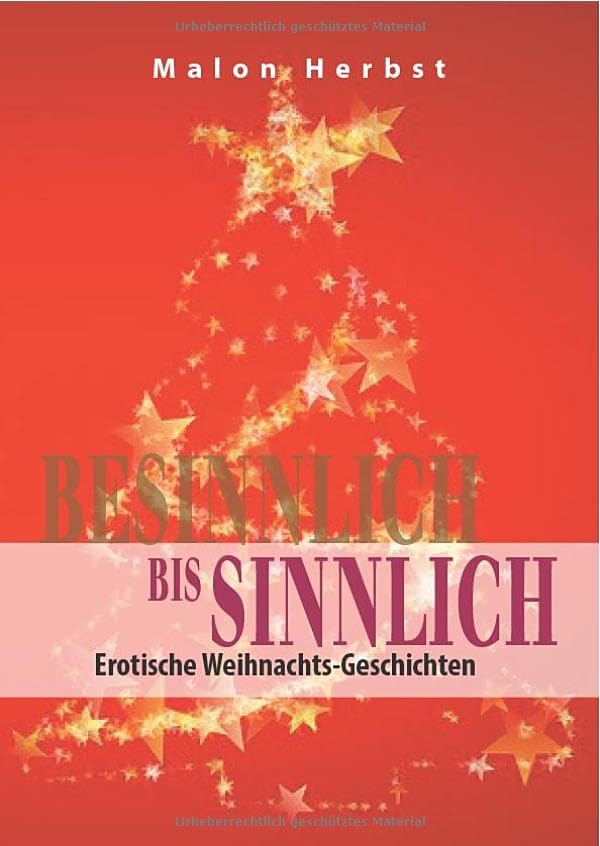 Besinnlich bis Sinnlich: Erotische Weihnachts-Geschichten Essays & Short Stories