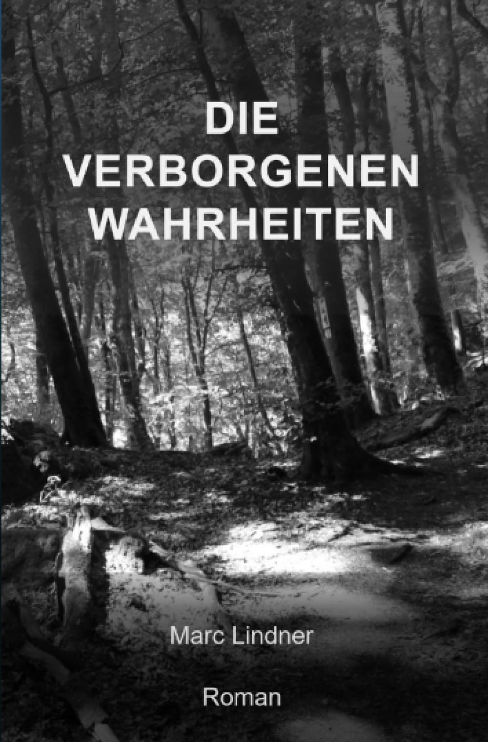 Die verborgenen Wahrheiten (Die Geschichte des Verborgenen) Historical Fiction