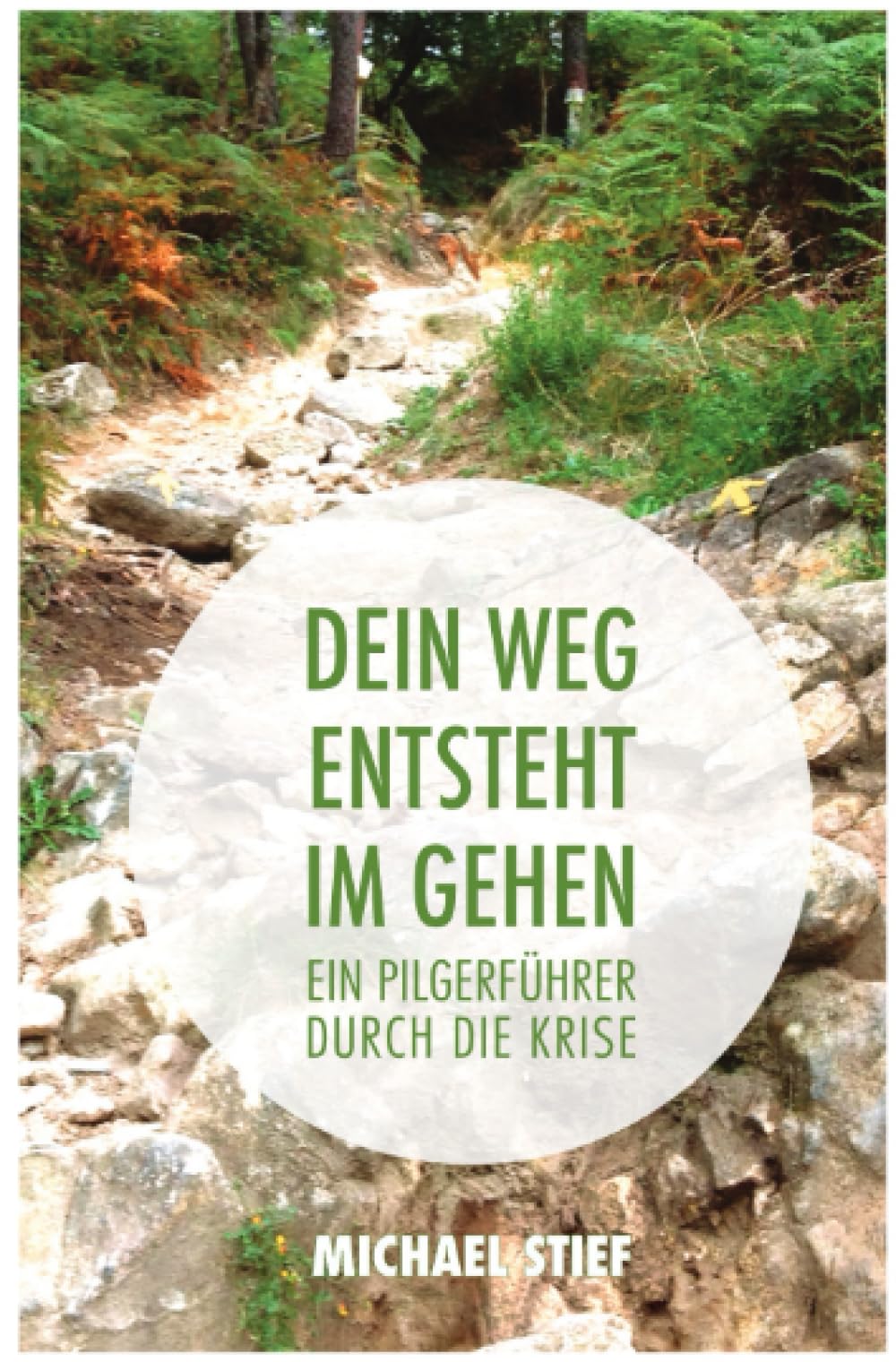 Dein Weg entsteht im Gehen: Ein Pilgerführer durch die Krise Psychology