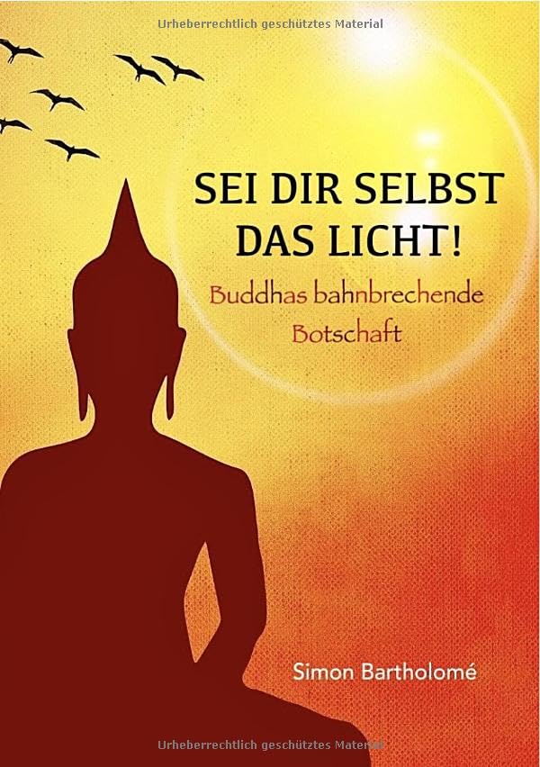Sei dir selbst das Licht!: Buddhas bahnbrechende Botschaft Philosophy