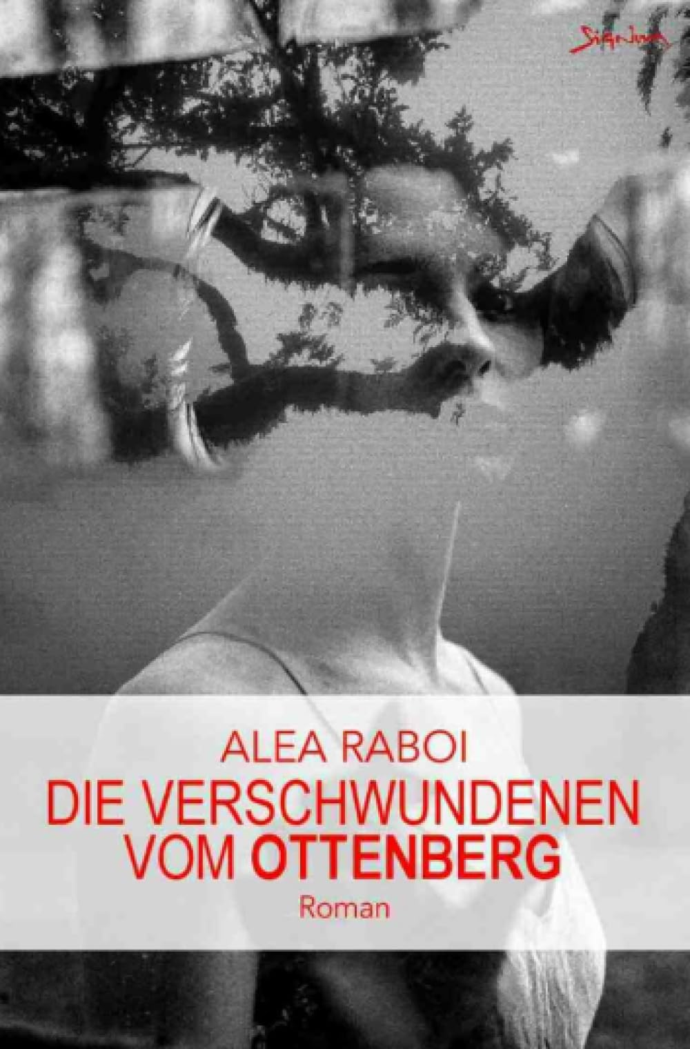 Die Verschwundenen vom Ottenberg: Ein Mystery-Thriller Action & Adventure
