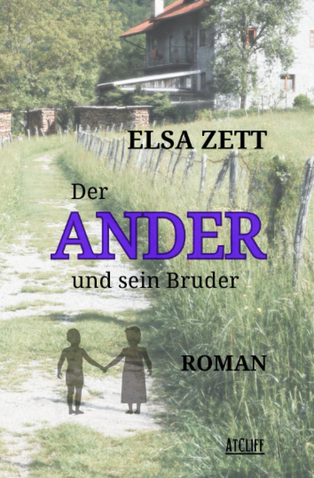 Der Ander und sein Bruder: Roman Contemporary literature