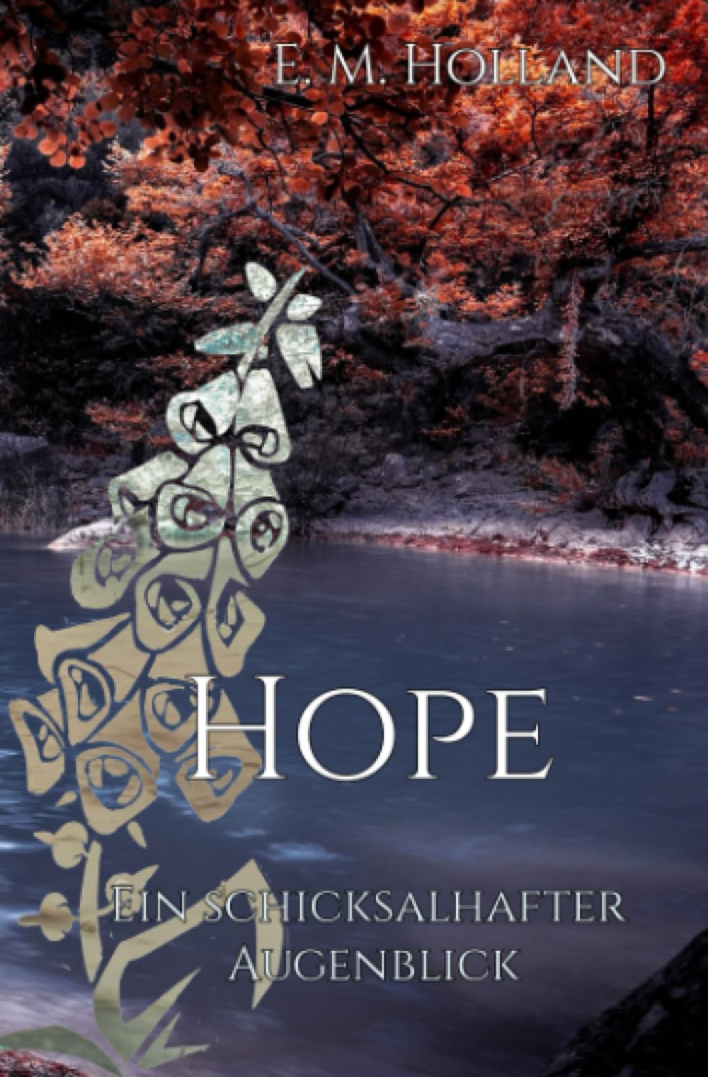Hope - ein schicksalhafter Augenblick: DE (Schicksal-Reihe) Contemporary literature