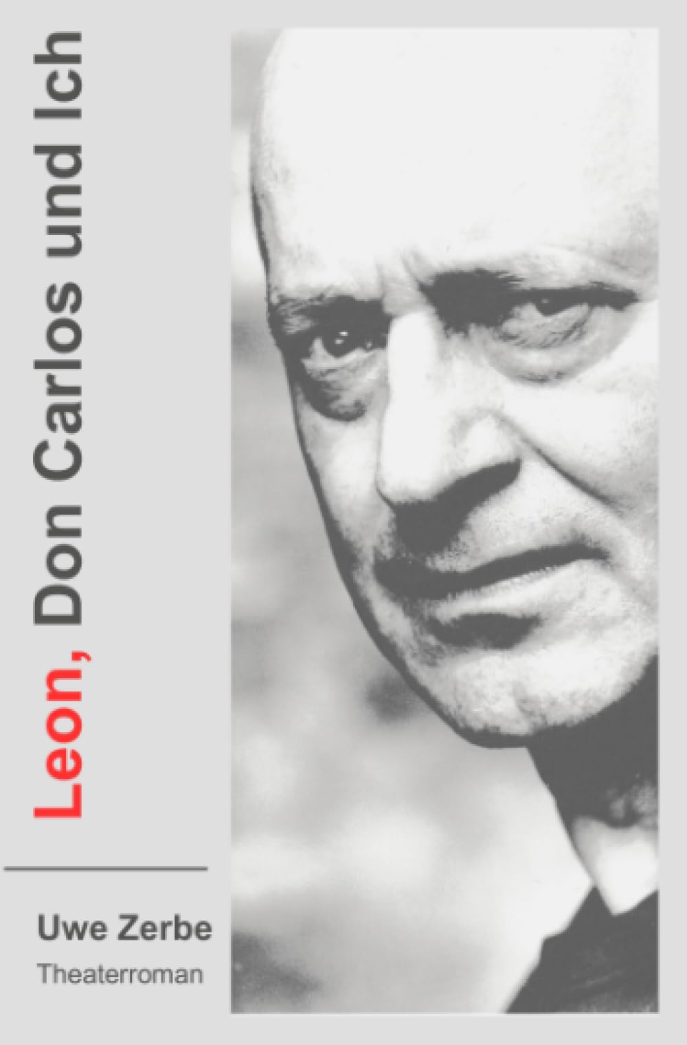 Leon, Don Carlos und Ich: Theaterroman book