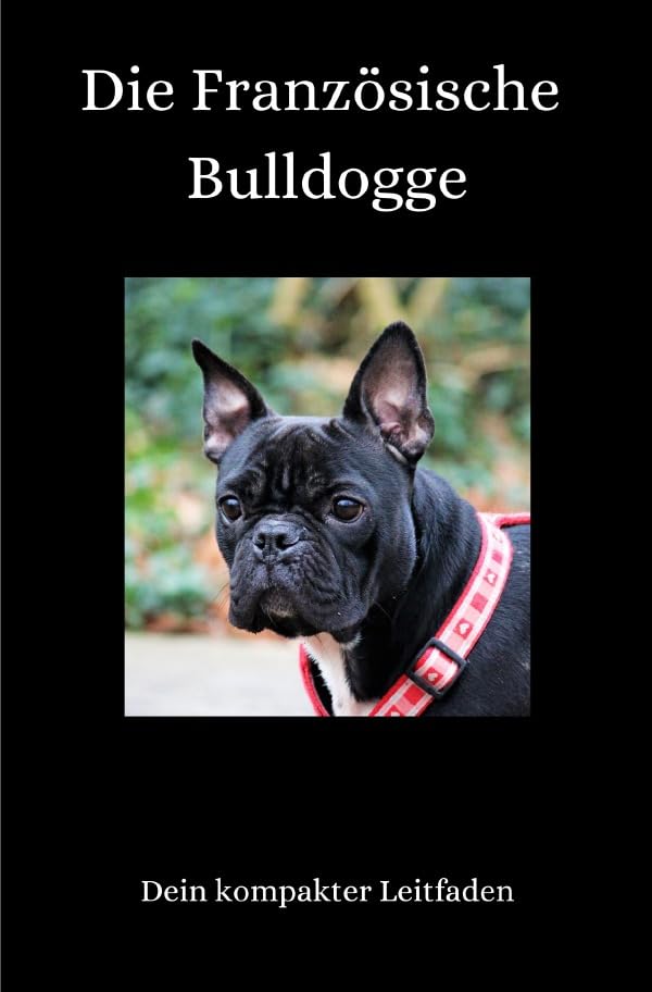 Die Französische Bulldogge: Dein umfassender Begleiter Pets
