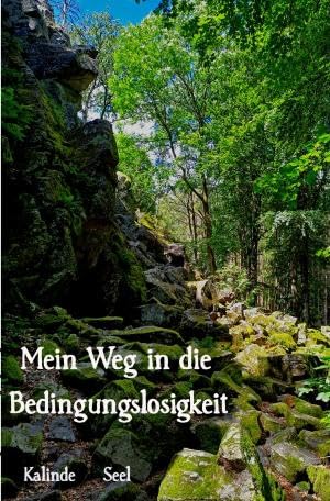 Bedingungslosigkeit leben: ... und wie ich meine zwischenmenschlichen Beziehungen damit revolutioniere Lifestyle