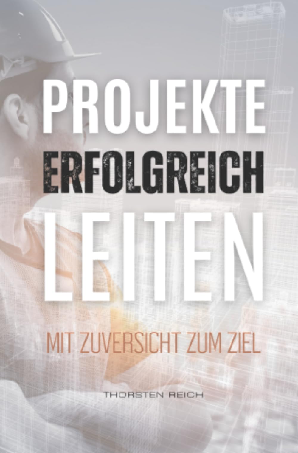 Projekte erfolgreich leiten: Mit Zuversicht zum Ziel Business, Finance & Career