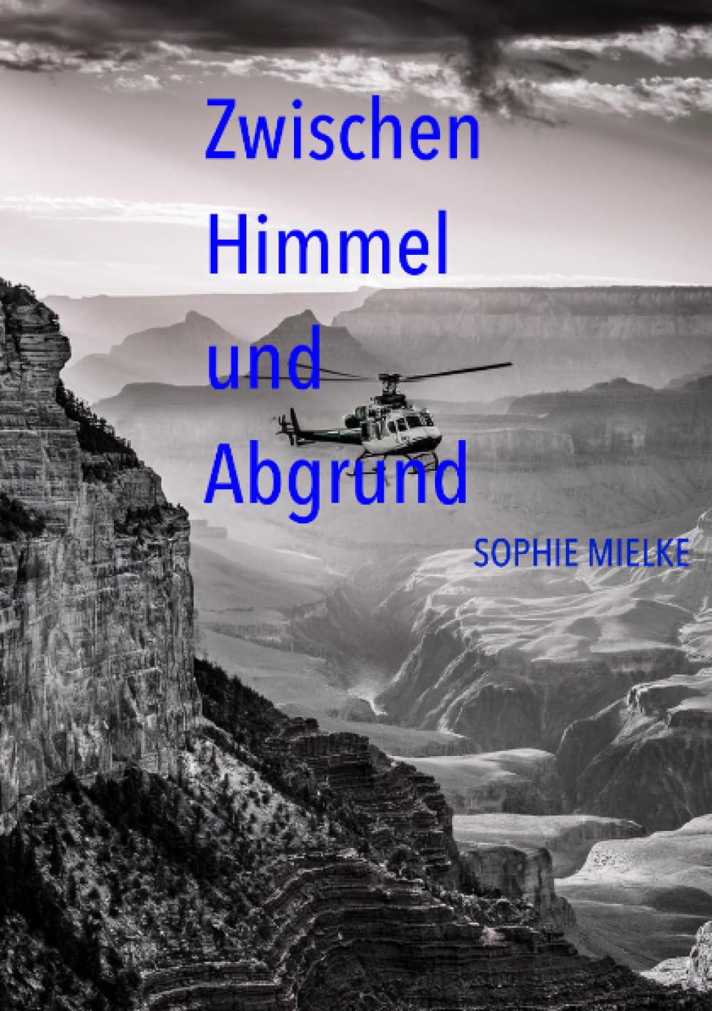 Zwischen Himmel und Abgrund: DE Contemporary literature