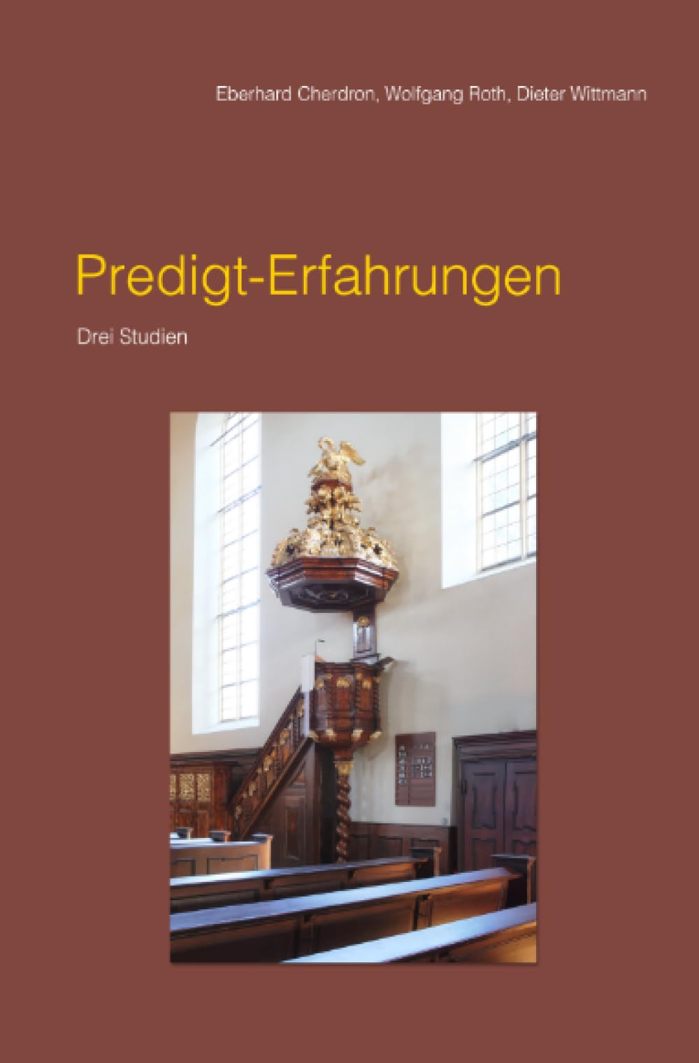 Predigt-Erfahrungen: Drei Studien book