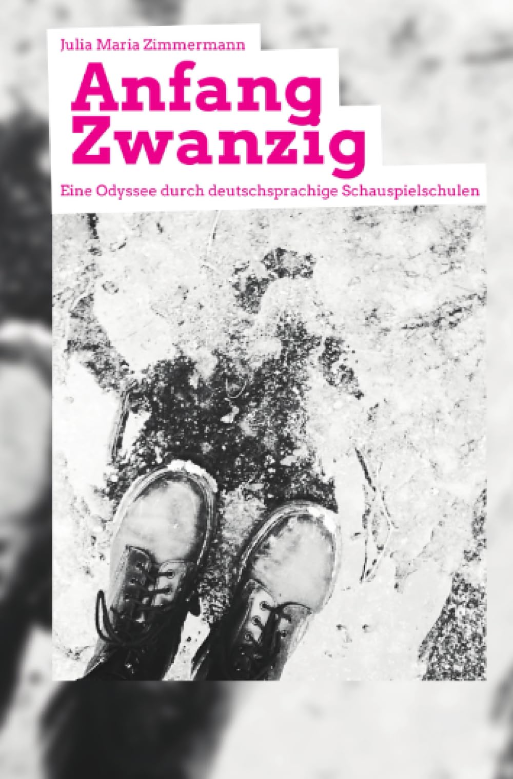 Anfang Zwanzig - Eine Odyssee durch deutschsprachige Schauspielschulen Humour & Satire