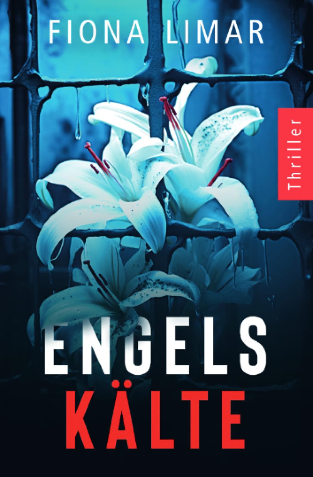 Engelskälte: Psychothriller (Psychiatrie-Thriller) Action & Adventure