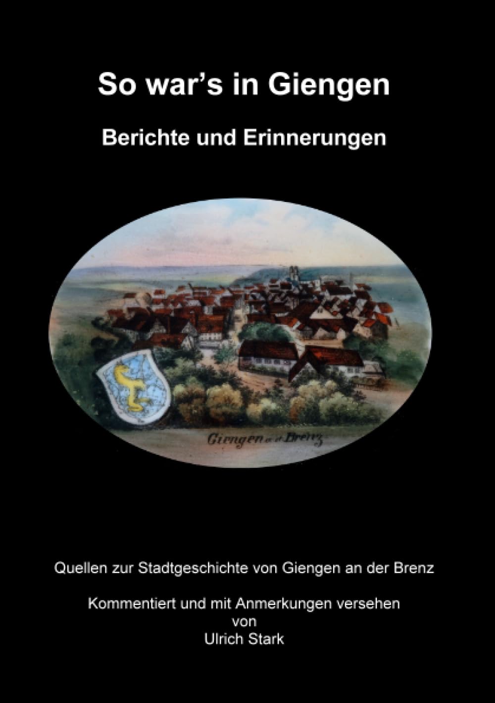 So war's in Giengen: Berichte und Erinnerungen (Quellen zur Stadtgeschichte von Giengen an der Brenz) Politics & History