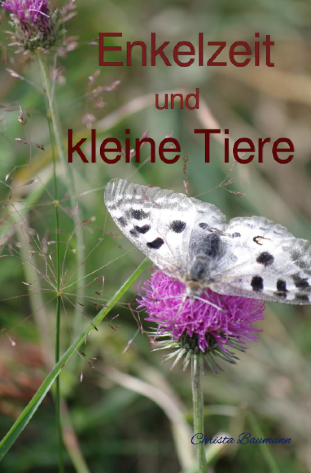 Enkelzeit und kleine Tiere: DE (Mit den Enkeln durchs Jahr) Pets
