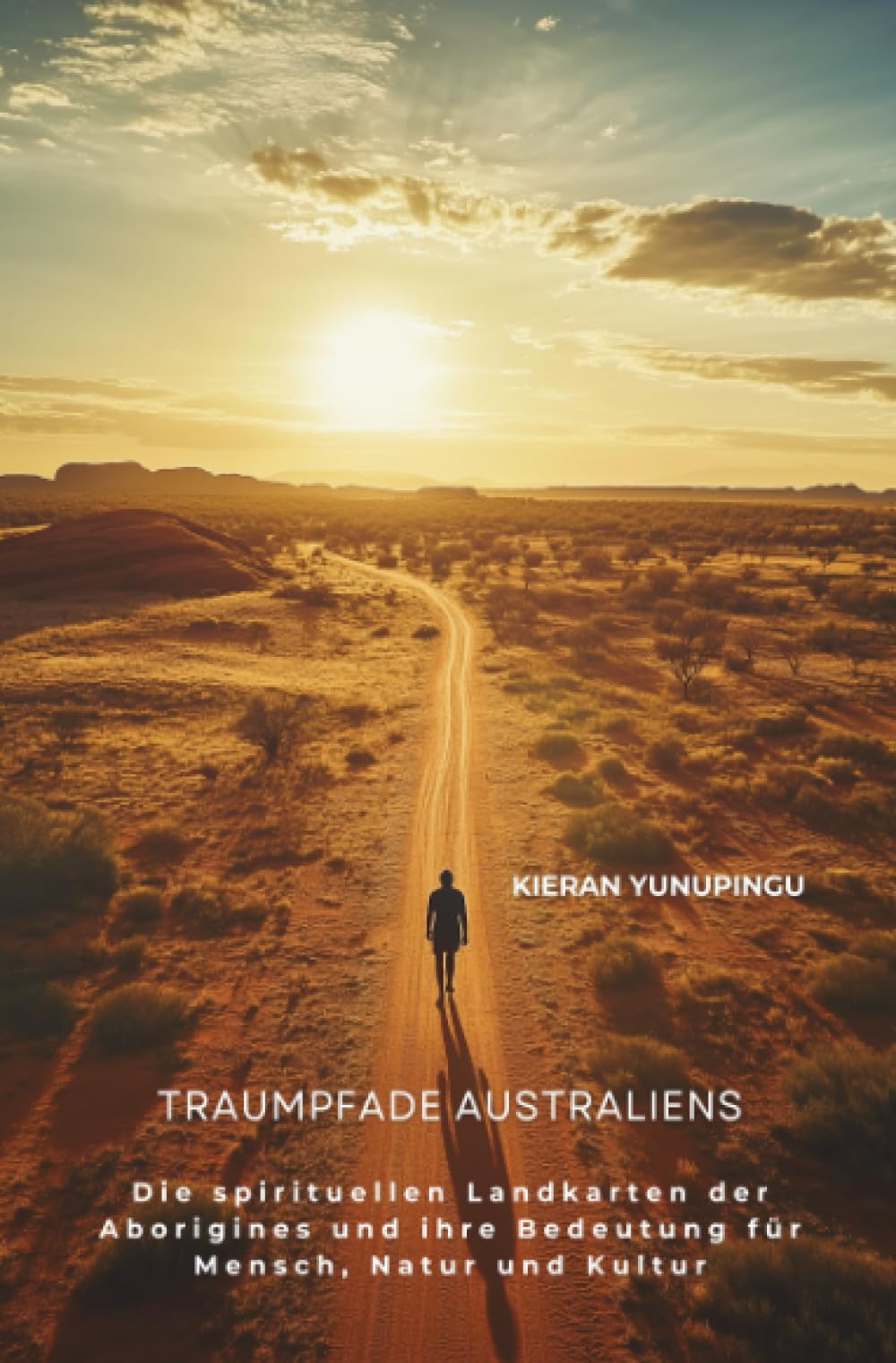 Traumpfade Australiens: Die spirituellen Landkarten der Aborigines und ihre Bedeutung für Mensch, Natur und Kultur Politics & History