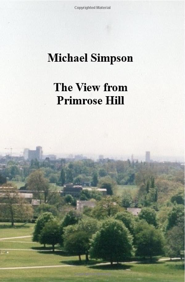 The View from Primrose Hill: Adventures of a young man in the years leading up to the Swinging Sixties of London book