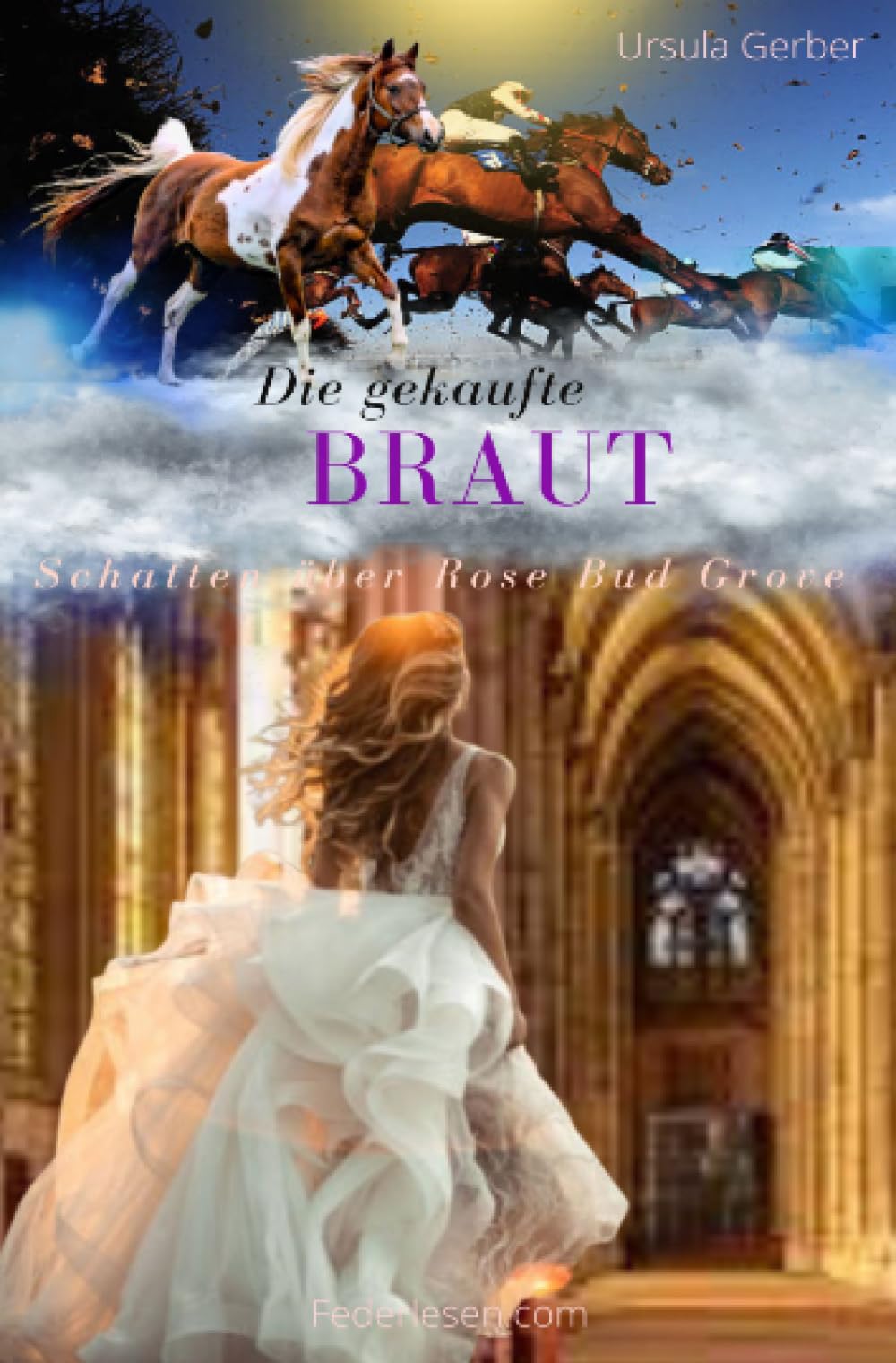 Die gekaufte Braut: Schatten über Rose Bud Grove Action & Adventure