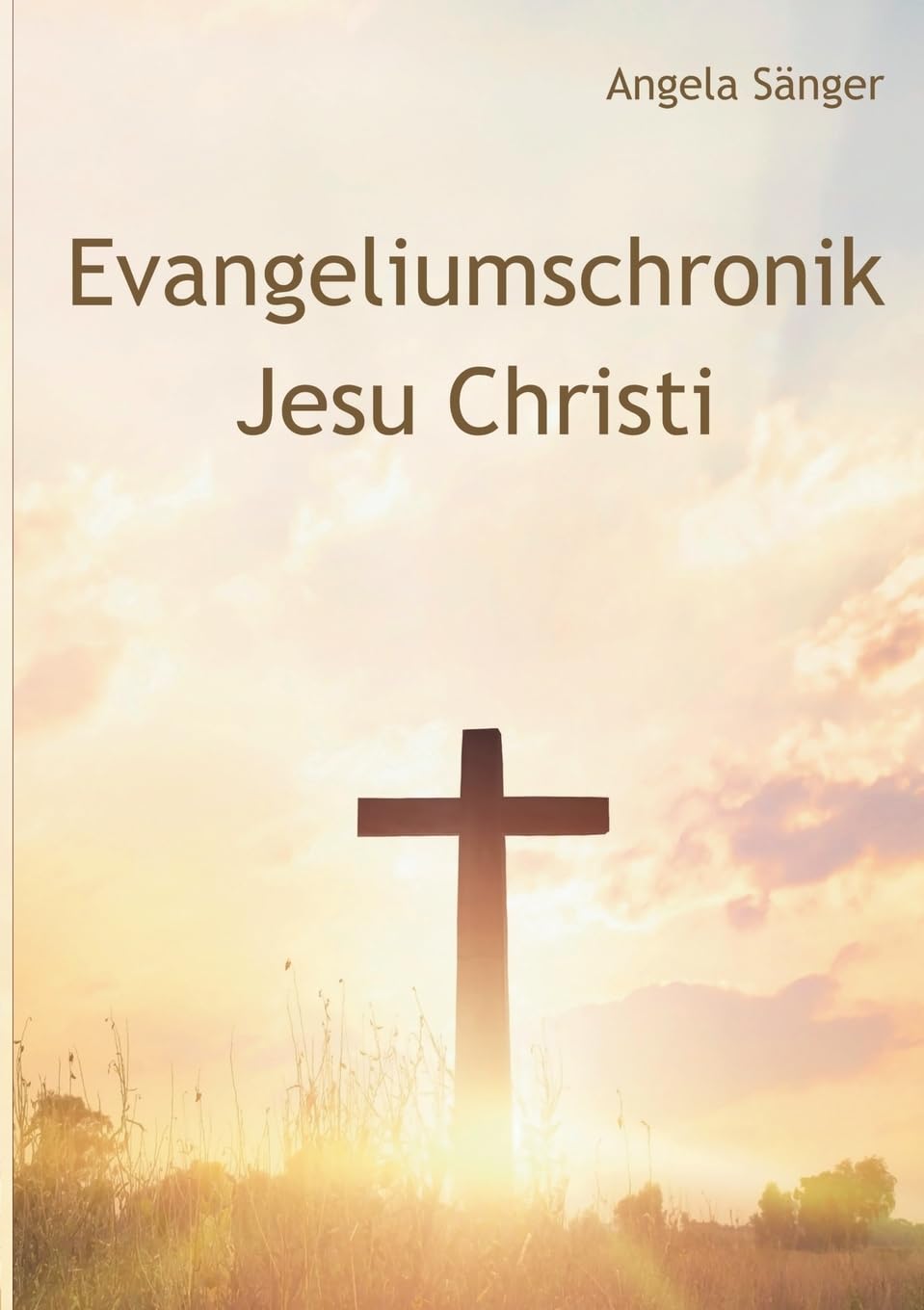 Evangeliumschronik Jesu Christi Religion & Esotericism