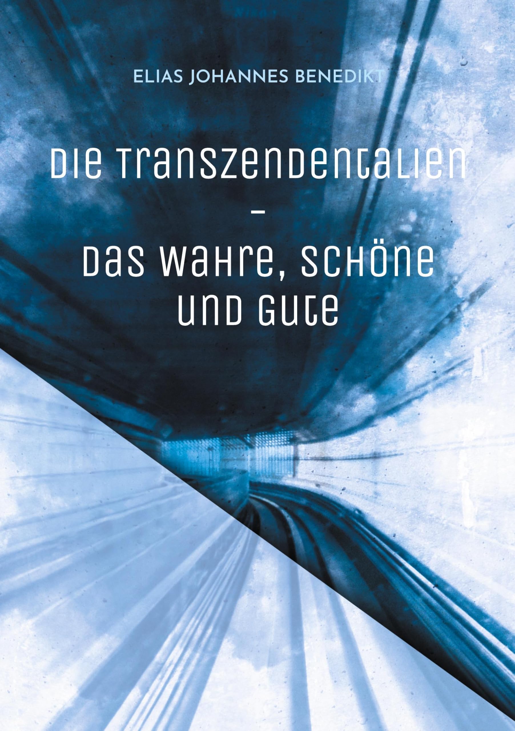 Die Transzendentalien Philosophy