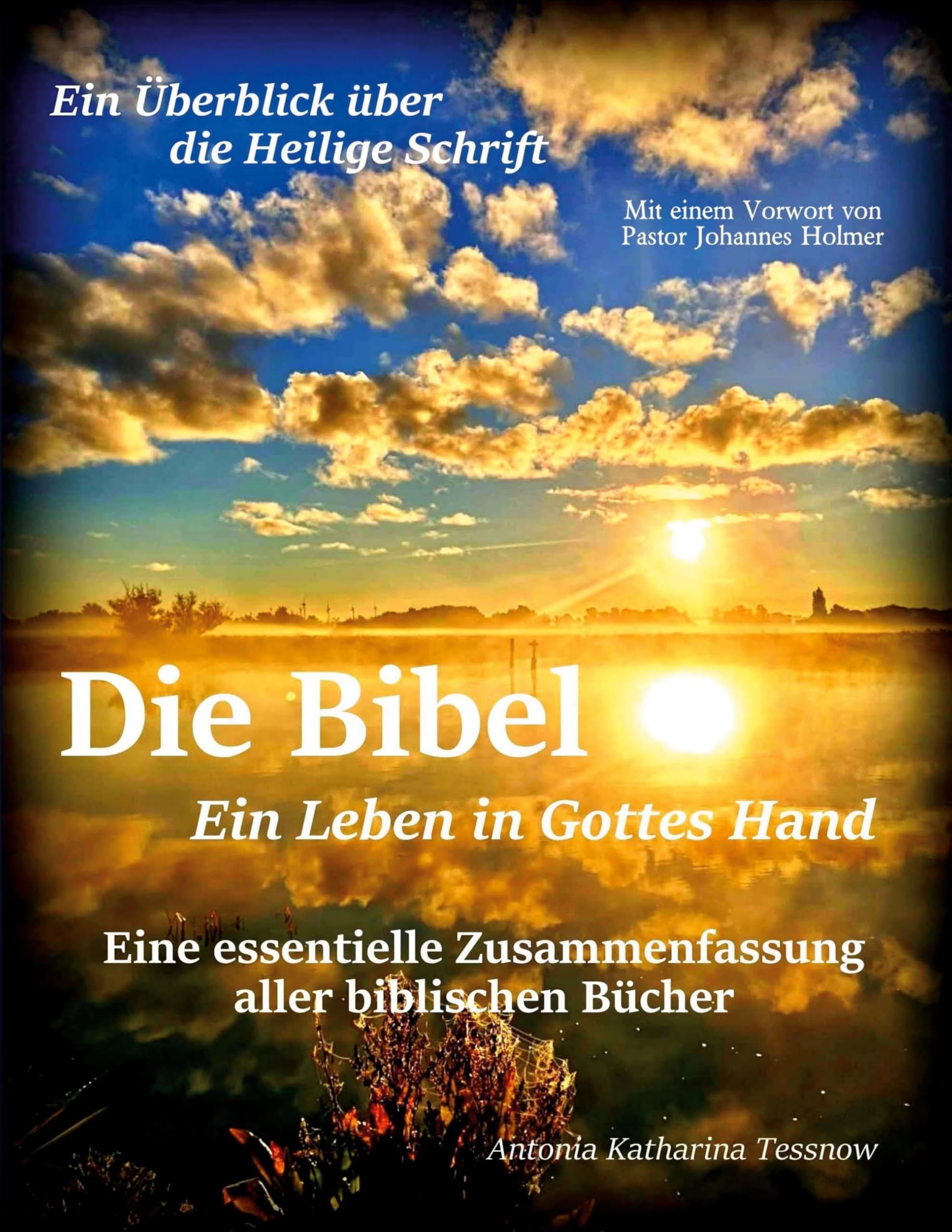 Die Bibel - Ein Leben in Gottes Hand, Eine essentielle Zusammenfassung aller biblischen Bücher Politics & History