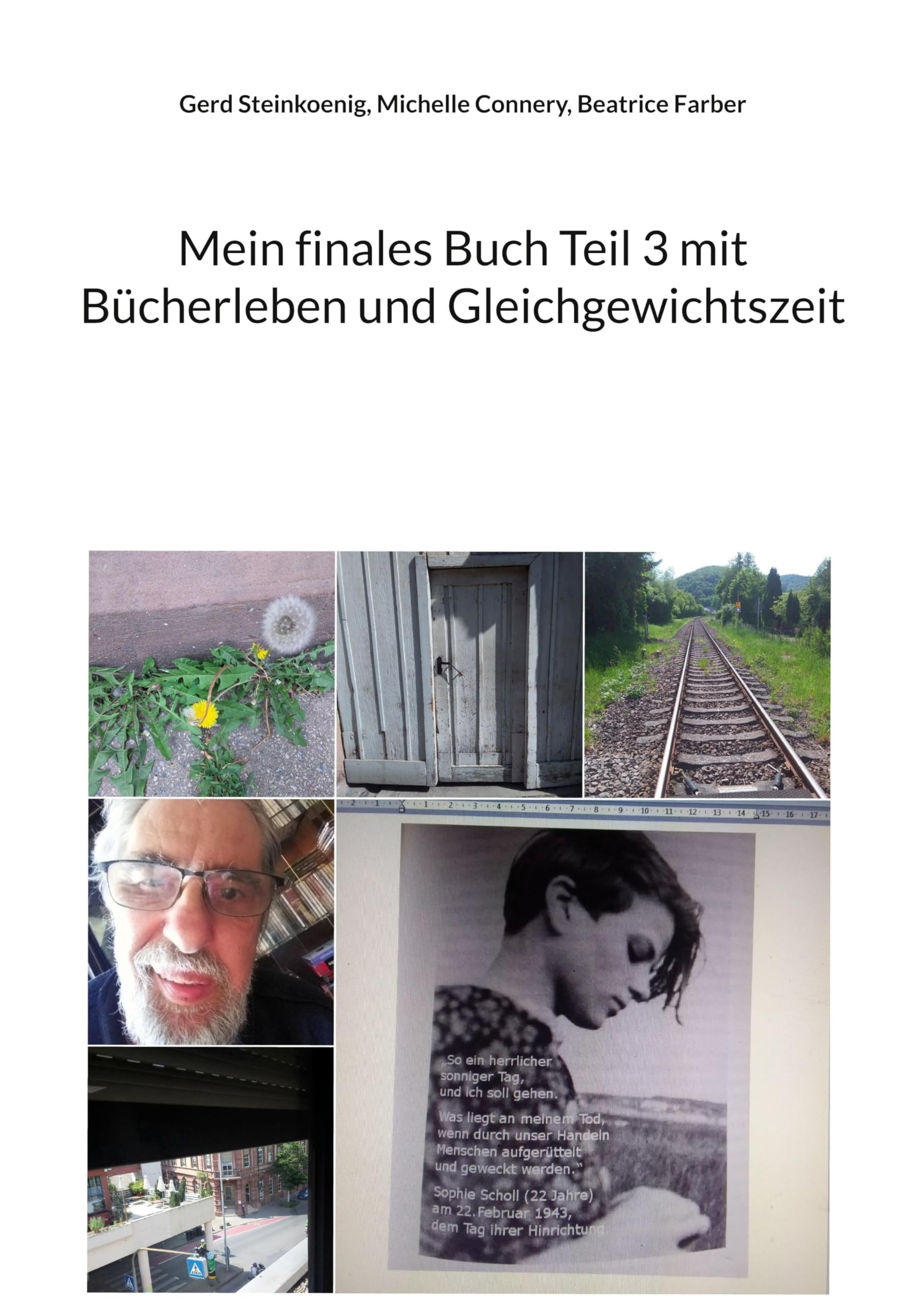 Mein finales Buch Teil 3 mit Bücherleben und Gleichgewichtszeit Poetry
