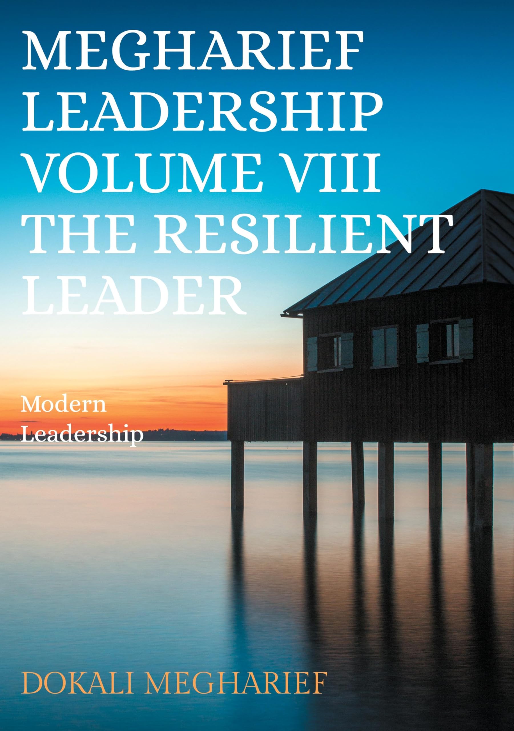 Megharief Leadership                                                                                   Volume VIII                                                                                                           The resilient Leader Law