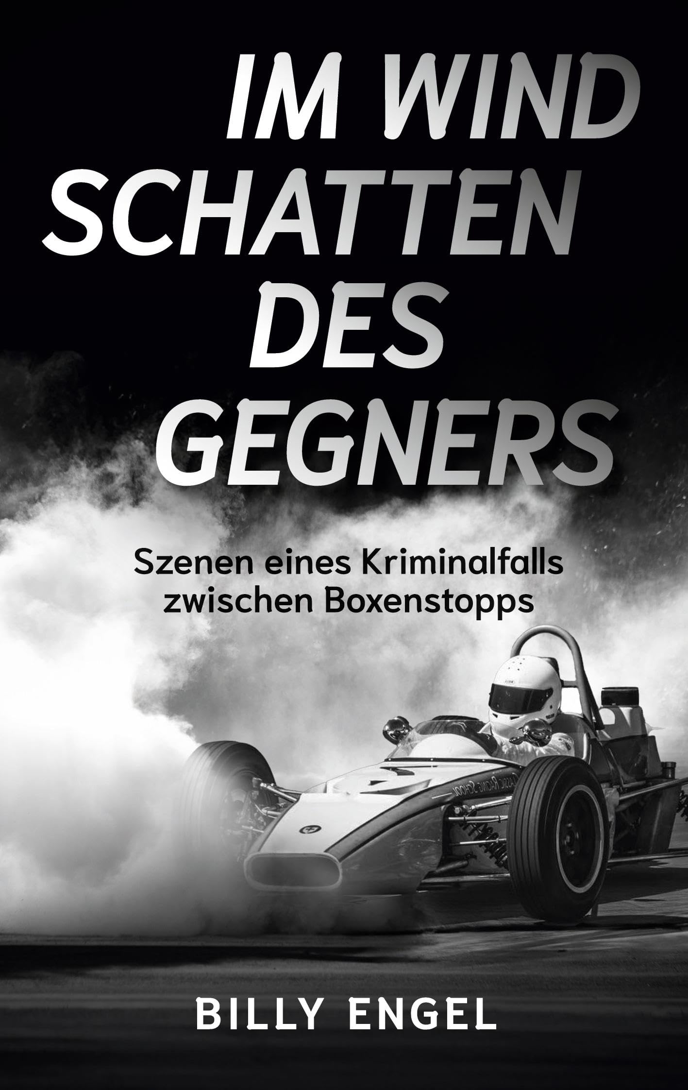 Im Windschatten des Gegners Contemporary literature Books